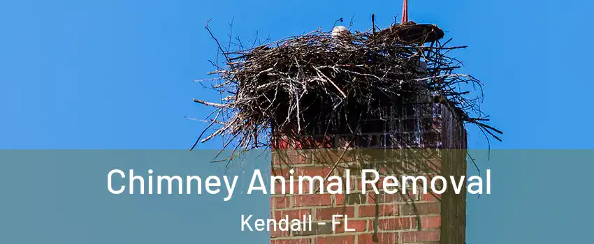Chimney Animal Removal Kendall - FL