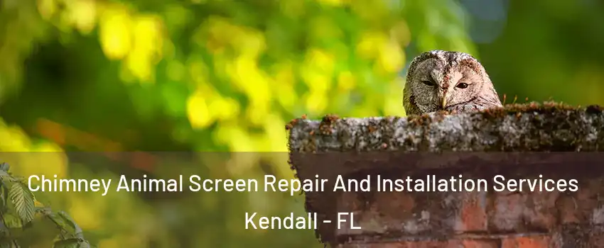  Chimney Animal Screen Repair And Installation Services Kendall - FL